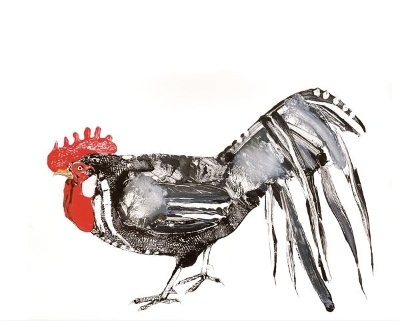 Stuart Mackenzie - Species Morphology: A Living Archive